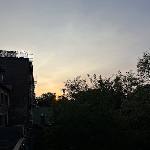 Backyard sunset - Prospect Heights, Brooklyn.