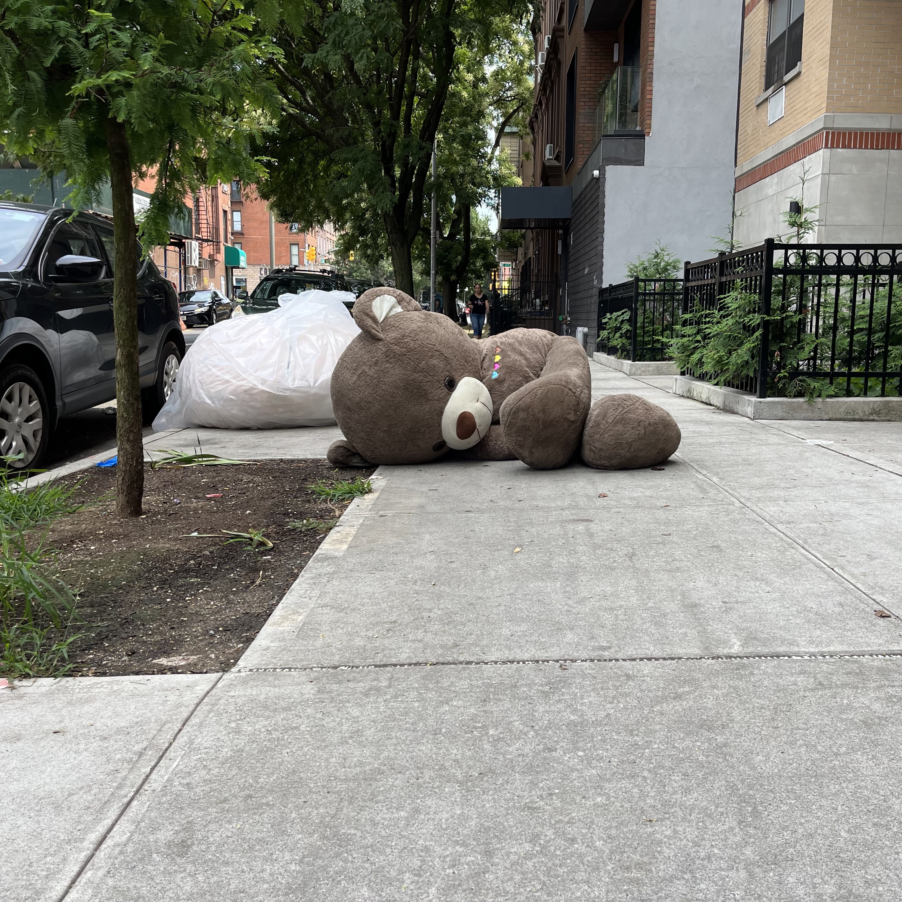 Giant teddy bear on Bergen Street. Boerum Hill, Brooklyn.
