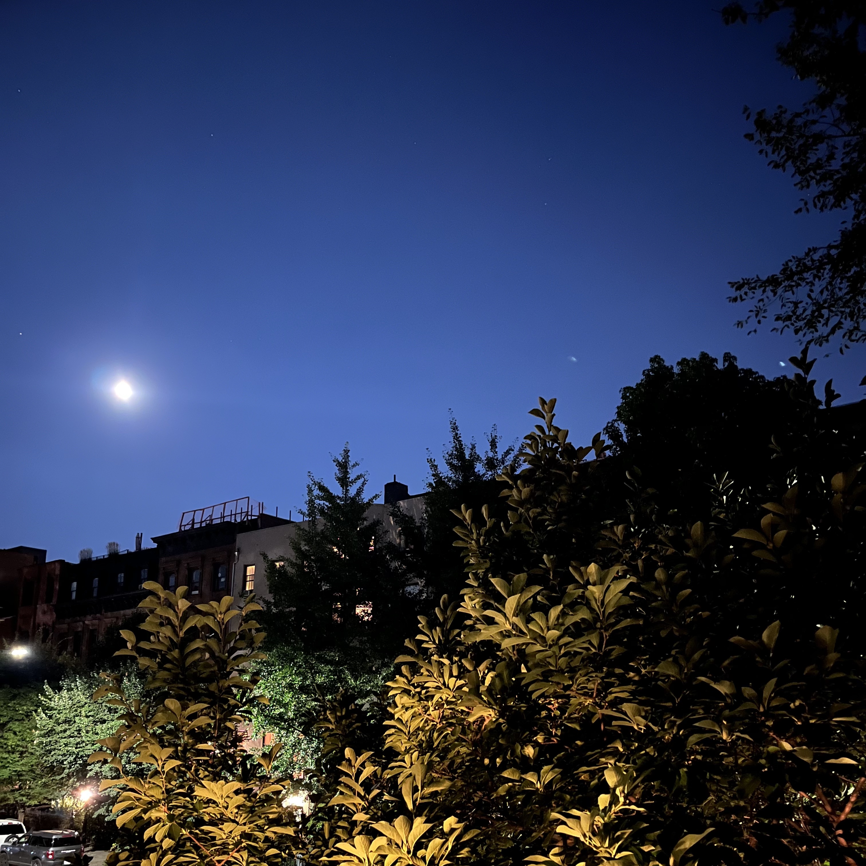 Full moon in Prospect Heights, Brooklyn.
