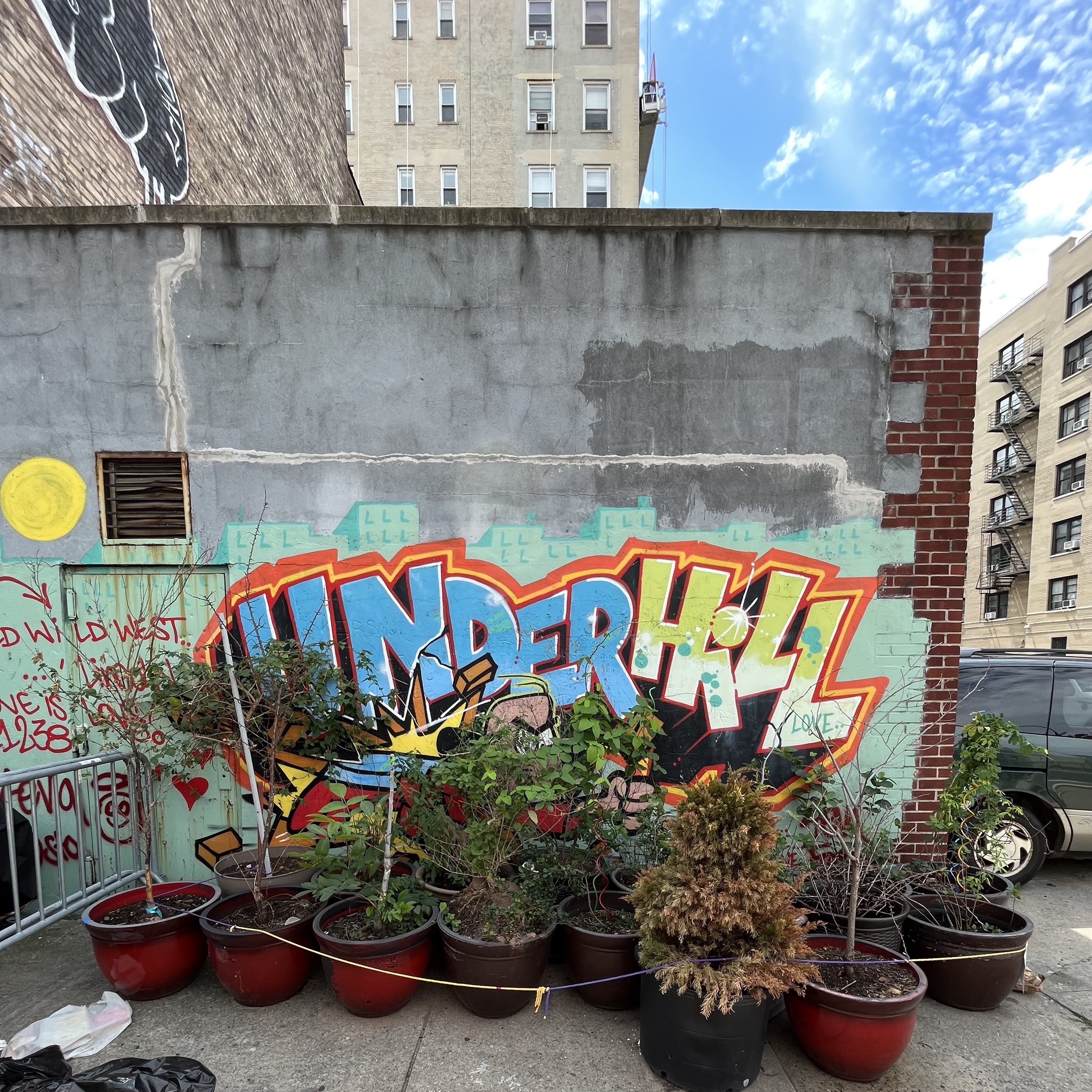 Street art on Underhill Avenue obscured by plants. Prospect Heights, Brooklyn