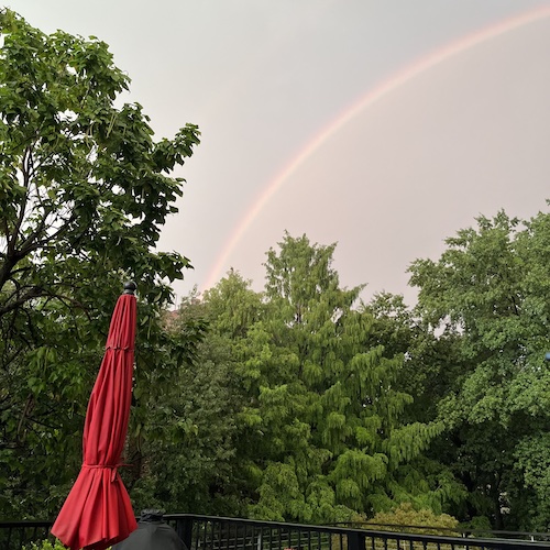 A rainbow after the storm. Prospect Heights, Brooklyn.