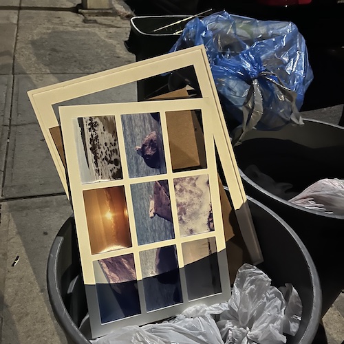 More trash, someone throwing away some really nice marine life photos. Prospect Heights, Brooklyn