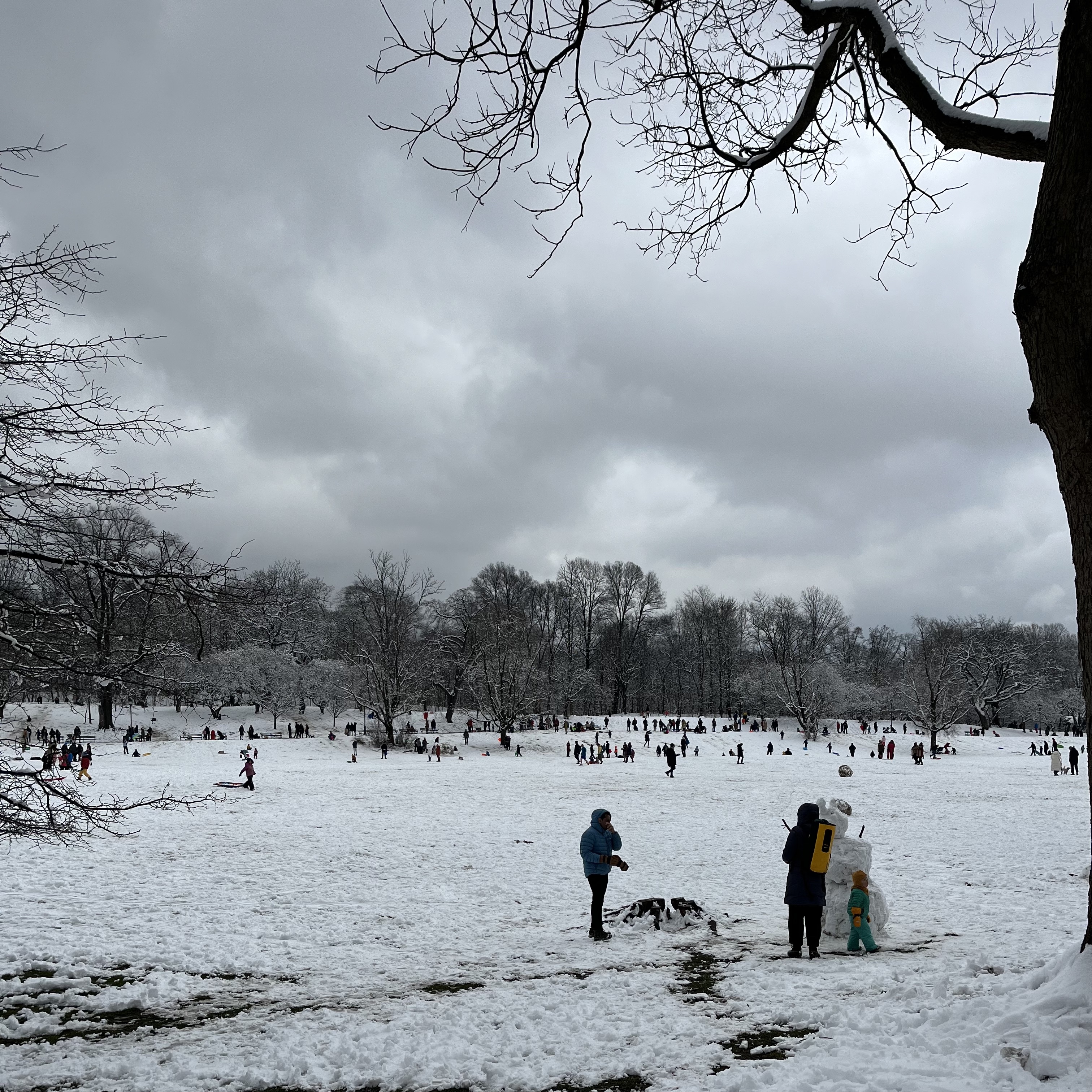 Snowpeople and sledders in Prospect Park, Brooklyn
