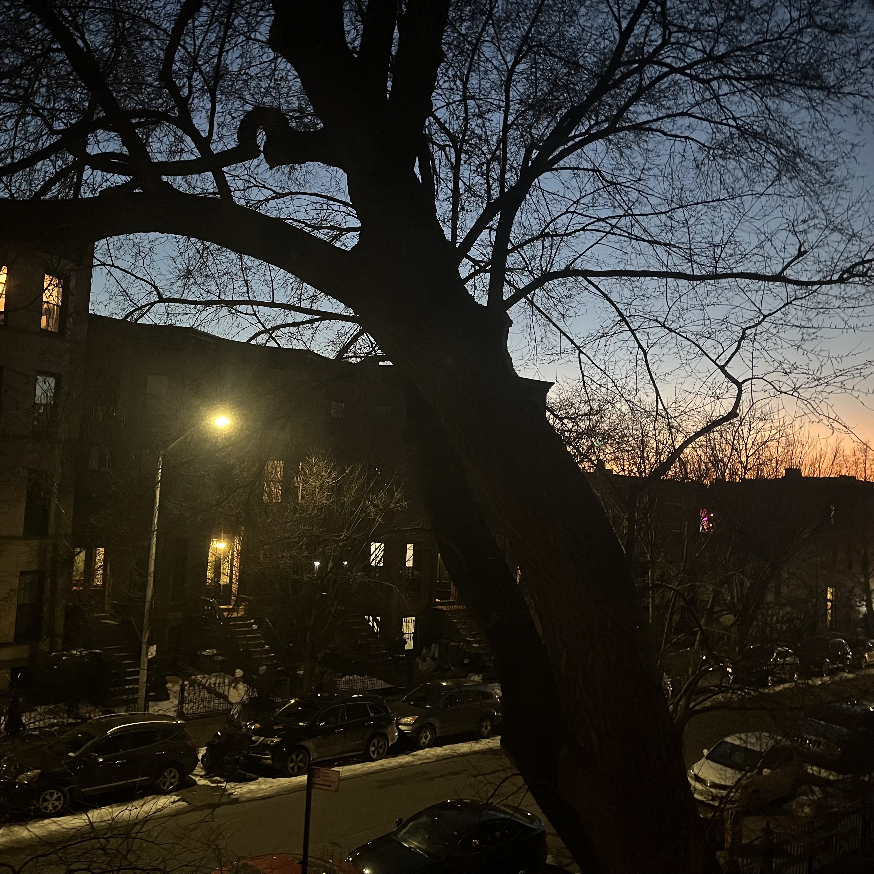 Sunset view. Prospect Heights, Brooklyn.