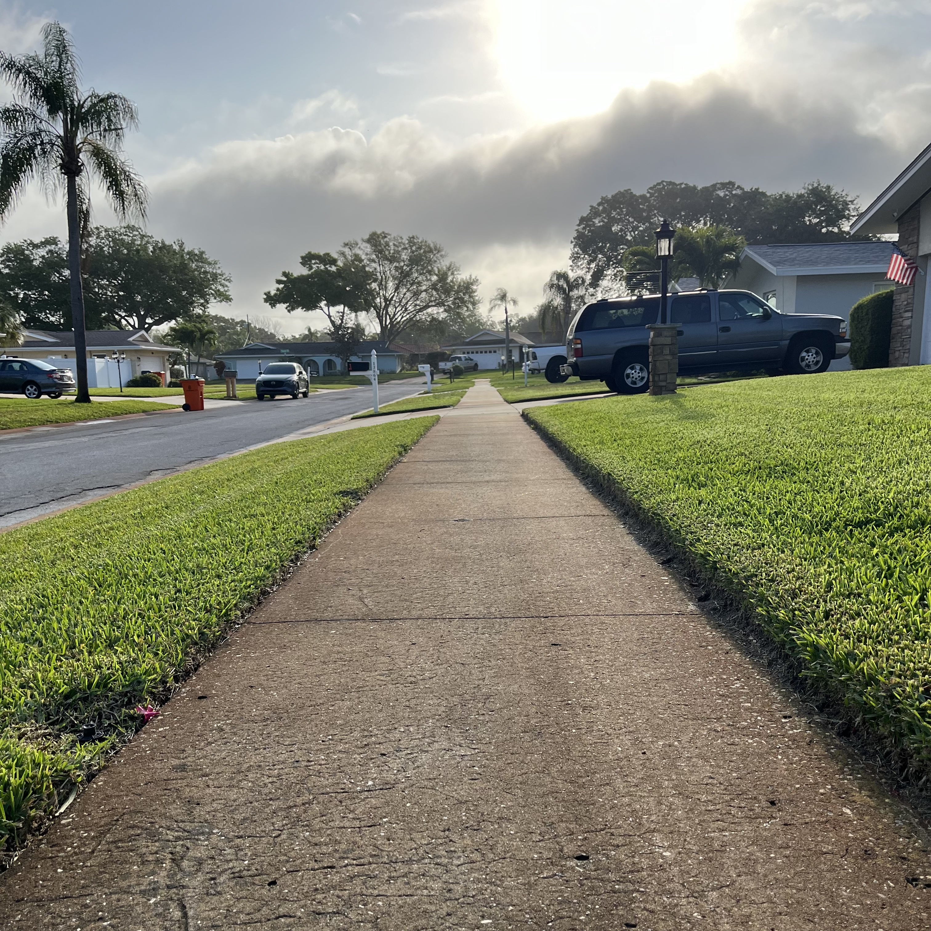 Suburban sidewalk. Largo, Florida.