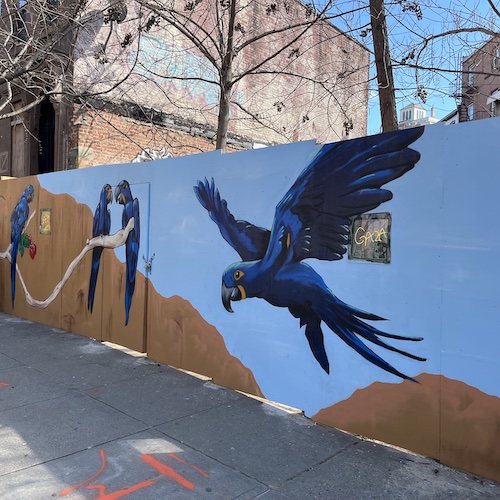 Blue macaw mural by Paulie Nassar at 178 Park Place, Prospect Heights, Brooklyn.