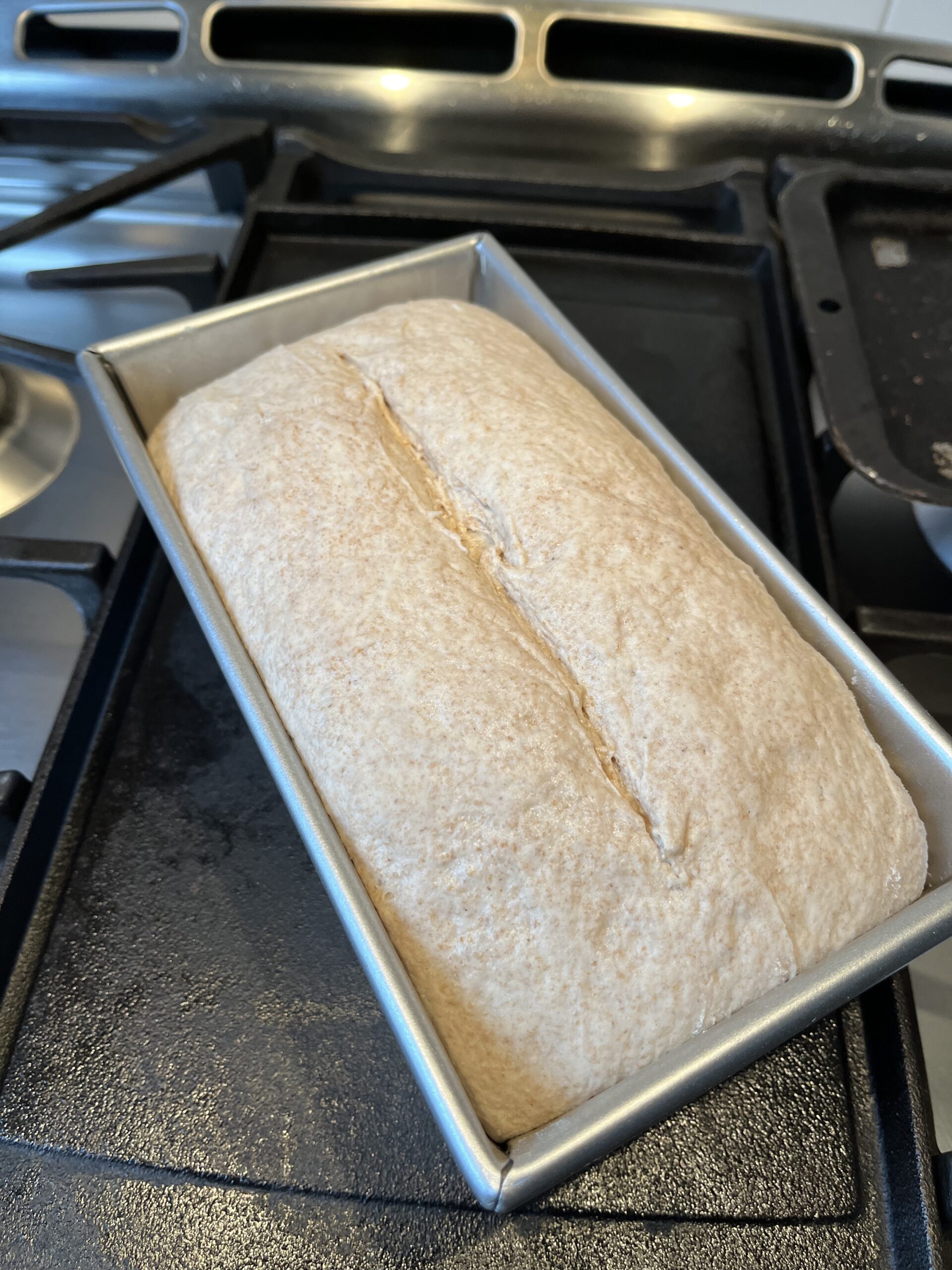 Photo of whole wheat sourdough sandwich dough with top scored in a metal pan.